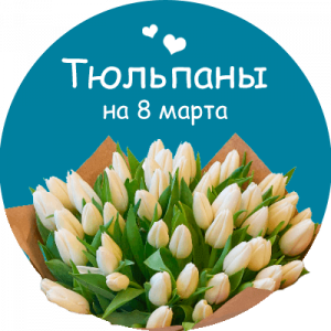 Купить тюльпаны в Окуловке